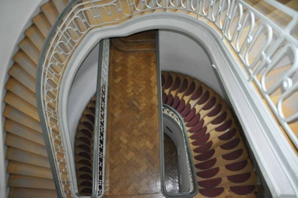 Кракен зеркало орион