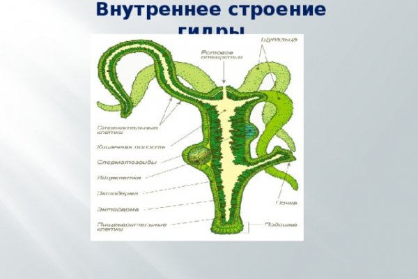 Кракен это современный даркнет маркетплейс